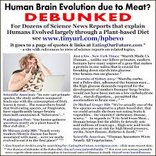 Human Evolution Brain Intelligence Evolved Via Plant Based Diets Paleo Vegan Diet Diet Myths Diet