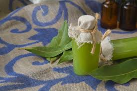 Maybe you would like to learn more about one of these? Feuille De Laurier Proprietes Et Utilisations Ooreka