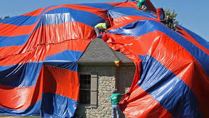 Natural spider pest control & identifying the more common spiders. Spider Invasion Drives Owners From Home