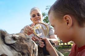 This bench will be placed at Prairie Branch play ground. Patti's bench in  memory. Thanks to the family for your patronage to the park and your  donations.