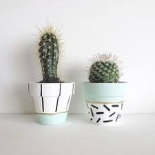 1,743 likes · 150 talking about this. 70 Best Small Cactus Ideas Cactus Cacti And Succulents Plants