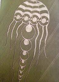 crop circles クロップサークル