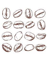 80 Off Sale Coffee Bean Isolated Hand Drawn Vector Hand Etsy Coffee Vector Coffee Drawing Coffee Illustration