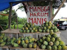 Pembayaran mudah, pengiriman cepat & bisa cicil 0%. Mangga Harum Manis Harumkan Nama Perlis