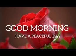 Good Morning Video For Whatsapp Good Morning Whatsapp Status Good Morning Wallpapers Photo Good Morning Roses Good Morning Beautiful Good Morning Images