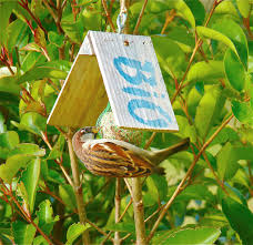 Comment réaliser ses boules de graisse ? Fabriquer 5 Mangeoires A Oiseaux Faciles Diy 2019 Detente Jardin