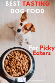 Best Tasting Dog Food For Picky Eaters The Great Pets Dog Food Recipes Best Dog Food Brands Best Dog Food