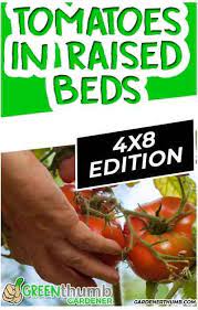 How Many Tomato Plants In A 4 4 Raised Bed Tomato Plants Vegetable Garden For Beginners Food Forest