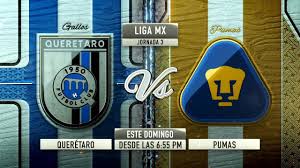 Univisión deportes tudn en vivo, en este canal puedes ver los mejores encuentros deportivos de todos las conpetencias. Queretaro Vs Pumas Guardianes 2021 Liga Mx Imagen Television