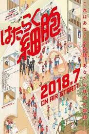 Hataraku Saibou Lista De Anime Anime Episodios