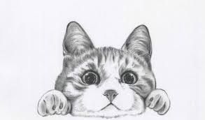 The eyes should be pointing in the direction the cross bends. How To Draw Cat Face Archives How To Draw