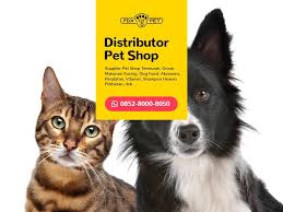 Terlengkap Wa 0852 8000 8050 Distributor Makanan Ikan Hias Makanan Kucing Makanan Anjing Pet Grooming