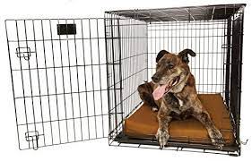 If you are trying to keep your dog comfy while outside, be sure to check out our article about the best dog bedding for. 5 Best Dog Crate Beds Pads 2021 Reviews Canine Crate Comfort