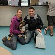New pet alert from adoptapet.com. Long Beach Animal Care Services 62 Photos 90 Reviews Animal Shelters 7700 E Spring St Long Beach Ca Phone Number