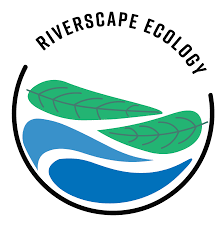 Maybe you would like to learn more about one of these? Hrs Riverscape Ecology