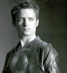 Elijah Wood Elijah Wood 961727 612 672 Jpg 612 672 Elijah Wood Elijah Shirtless
