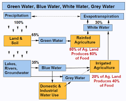 10 Abiding Water Cycle Flow Map