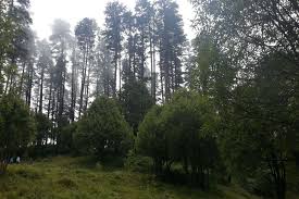 Best price guarantee · 24/7 customer service · secure booking Dhanaulti Times Of India Travel