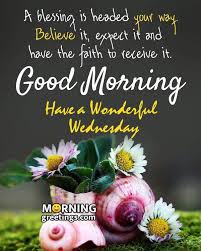 Good morning!ߌذߌڰߌWishing you a wonderful Wednesday blessed beyond  measure!ذߒ