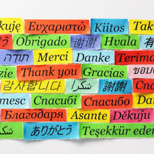 Pariskunnalla on vuosina 1995, 2001 ja 2006 syntyneet lapset. Matti Pellonpaa Venajan Kielitestissa Elava Arkisto Yle Fi