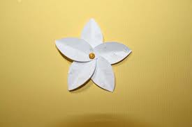 Pin On Flowers