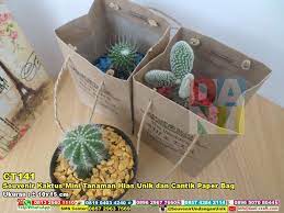 Lampu tumblr dipasang di sisi sirih gading, kolaborasi ini sukses buat taman mini balkon makin estetis. Souvenir Kaktus Mini Tanaman Hias Unik Dan Cantik Paper Bag Souvenir Pernikahan Souvenir Pernikahan Pernikahan Unik Perhiasan Unik