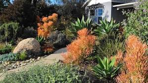 Gardens Full Of Ideas On Show In Mar Vista Tour Vista Garden Mar Vista Garden Tours