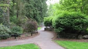 Call to rid your home or property today. Visit A Park City Of Edmonds Wa