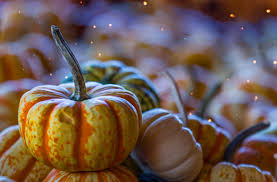 Maybe you would like to learn more about one of these? 5340202 5084x3344 Gourd Thanksgiving Herbst Vegetable Light Leak Orange Pumpkin Light Flare Closeup Magical Stem Fall Season Autumn Light Fairy Light Harvest Png Images Bokeh Wallpaper Magic Mocah Hd Wallpapers