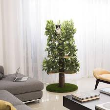 Cat's best® katzenstreu ist zu 100% natürlich und komplett biologisch abbaubar! 10 Best Cat Trees 2021 The Strategist