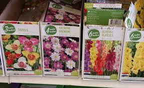 I was hired last monday. Garden Seeds Only 25 At Dollar Tree More Spring Finds