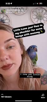 Helping Birds in Santa Fe