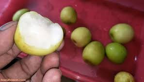 Buah bidara merupakan buah yang banyak mengandung gizi yang dibutuhkan oleh tubuh diantaranya kandungan kalium, kalsium, dan mempunyai kandungan fosfor. Buah Bidara Buah Banyak Manfaat Daunnya Diguna Ketika Urus Jenazah