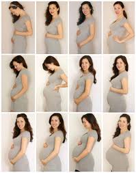 Baby Growth Pregnancy Online Charts Collection