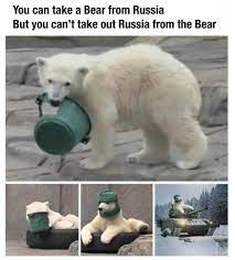 Memes A Twitteren Russia Bear