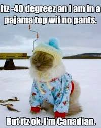 28 Funny Memes Baby Its Cold Outside Factory Memes