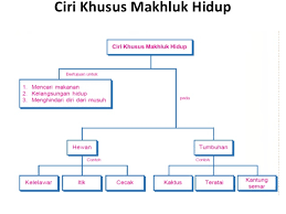 Check spelling or type a new query. Materi Ipa Kelas Vi