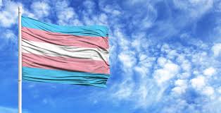 May 17, 2021 black and indigenous students in peel who meet the admission criteria into 'elite' programs are now eligible for selection without having to participate in the random selection process. Peel District School Board To Raise Transgender Pride Flag For The First Time News