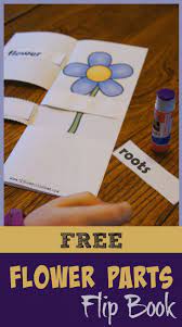 Free Flower Parts Of A Plant Flip Book Parts Of A Flower Kindergarten Science Plant Science