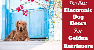 High tech pet electronic dog door. Best Electronic Doggie Doors For Golden Retrievers In 2021 Totally Goldens