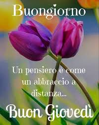 Visualizza altre idee su giovedì, felice giovedì, auguri di buongiorno. Buongiorno E Buon Giovedi A Tutti Un Bacio E Una Rosa Per Te Facebook