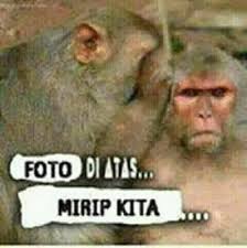 Koleksi Gambar Komentar Facebook Lucu Gokil Abis Terupdate Aridjaya Funny Pictures Cartoon Jokes Humor
