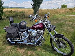 Image result for Bright Victory Red 1994 FXSTS