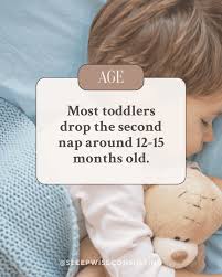 The Transition to One Nap a Day - Sleep Wise Consulting