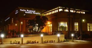116 s magnolia ave, anaheim, ca 92804. Vca Yorba Regional Animal Hospital 308 Recommendations Anaheim Ca