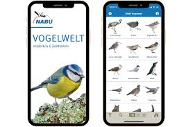 Start studying vögel bestimmen (vogelarten). Vogelkunde Vogel Bestimmen Nabu