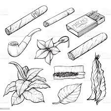 Cigars And Tobacco Monochrome Sketch Illustrations Set Stock Illustration -  Download Image Now - Istock