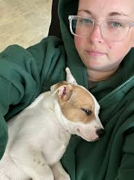 Teacup and Tiny Toy Poodles for Adoption in East TN