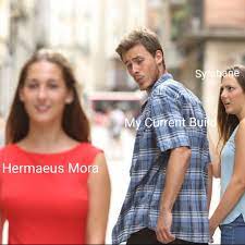 (for special edition, see the link in the mod description.) Summary Of My Current Mage Playthrough With Wintersun Enairim