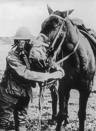 This is not merely a photograph of worn saddles. It is a silent cry from  the past — a stark reminder of suffering borne not only by soldiers, but  also by those